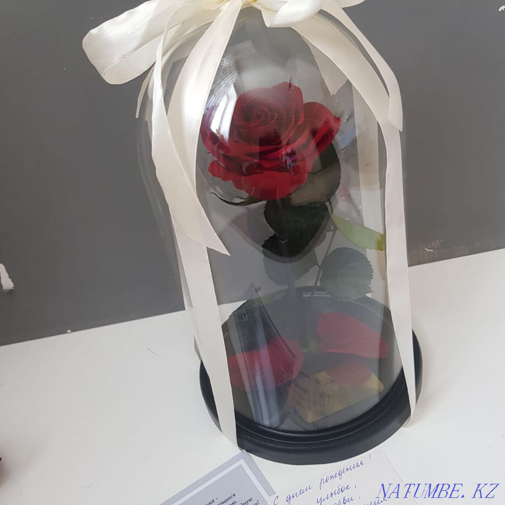 Роза колба Алматы - изображение 7