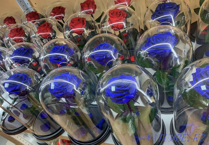 Роза колба Алматы - изображение 2