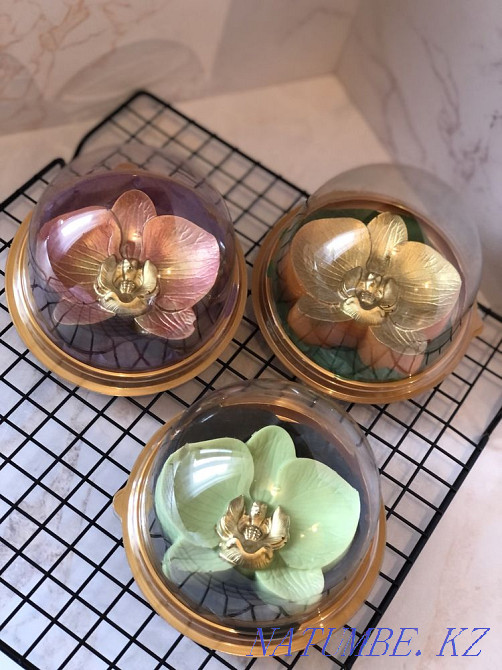 Toybastar Almaty - photo 1