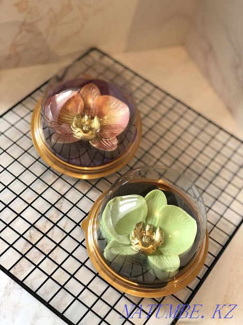 Toybastar Almaty - photo 2