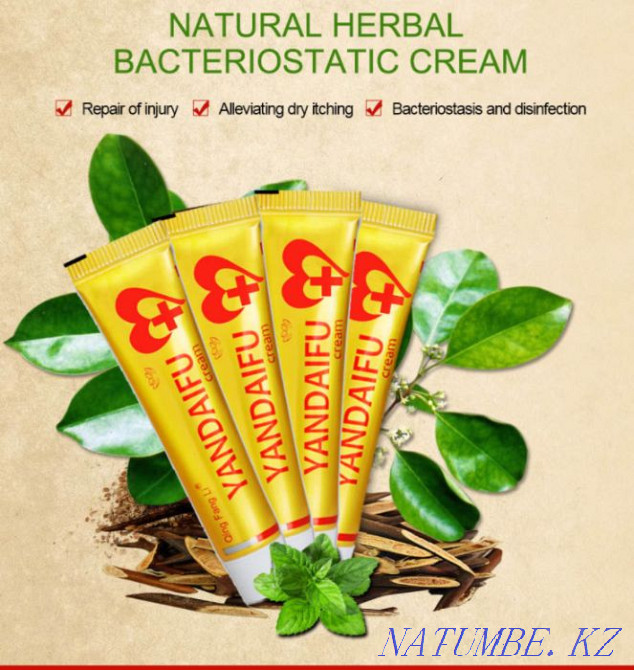 Cream-balm "Yandaifu". Relieves irritation and itching on the skin Almaty - photo 1
