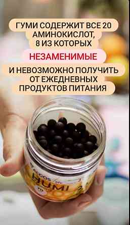 Комплект живой спирулины и гуми (humi) + Algos (Альгос) за 22000  Алматы