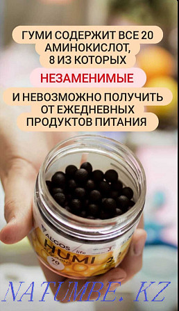 Комплект живой спирулины и гуми (humi) + Algos (Альгос) за 22000 Алматы - изображение 1