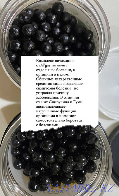 A set of live spirulina and gumi (humi) + Algos (Algos) for 22000 Almaty - photo 7