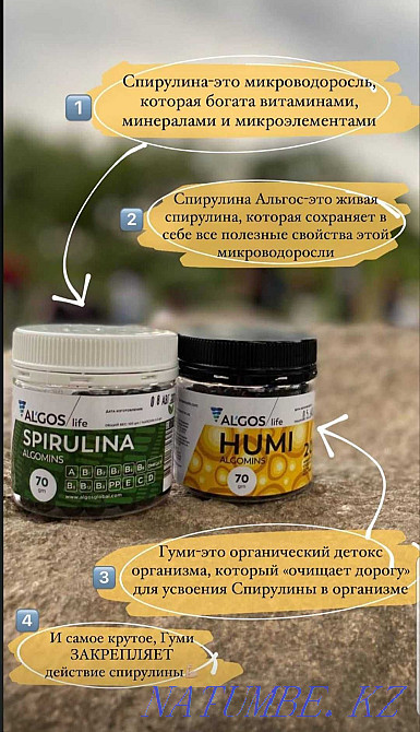 A set of live spirulina and gumi (humi) + Algos (Algos) for 22000 Almaty - photo 2