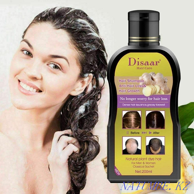 Shampoo for hair loss with ginger Astana - photo 1