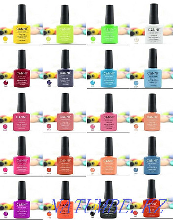 Collection of gel polishes Oral - photo 1