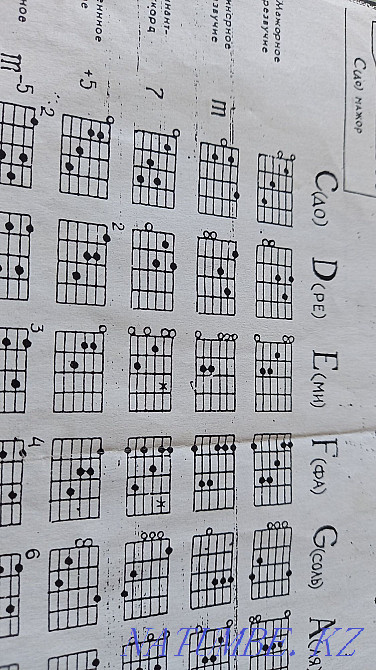 Guitar .bayan.Orgonizer original  - photo 7