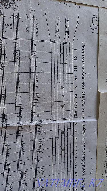 Guitar .bayan.Orgonizer original  - photo 8