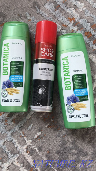 Feberlik Ust-Kamenogorsk - photo 2