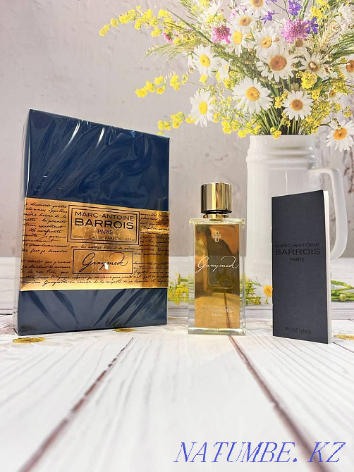 Mark-Antoine Barrios Ganymede Алматы - изображение 1