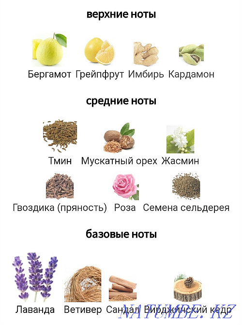 Француздық Fragonard үйінен Mensonge ерлер парфюмериясын сатыңыз  Қарағанды - изображение 2