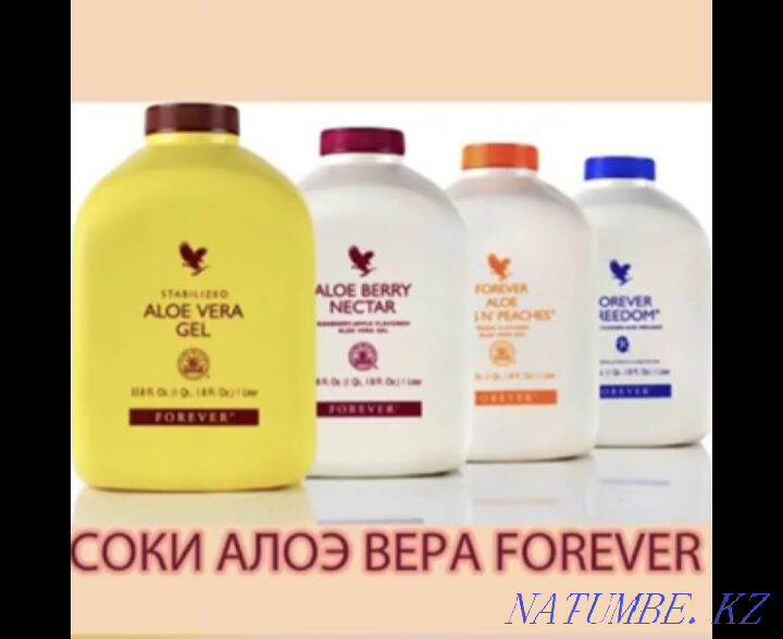Forever aloe onimderin Shymkentten alu Shymkent - photo 4
