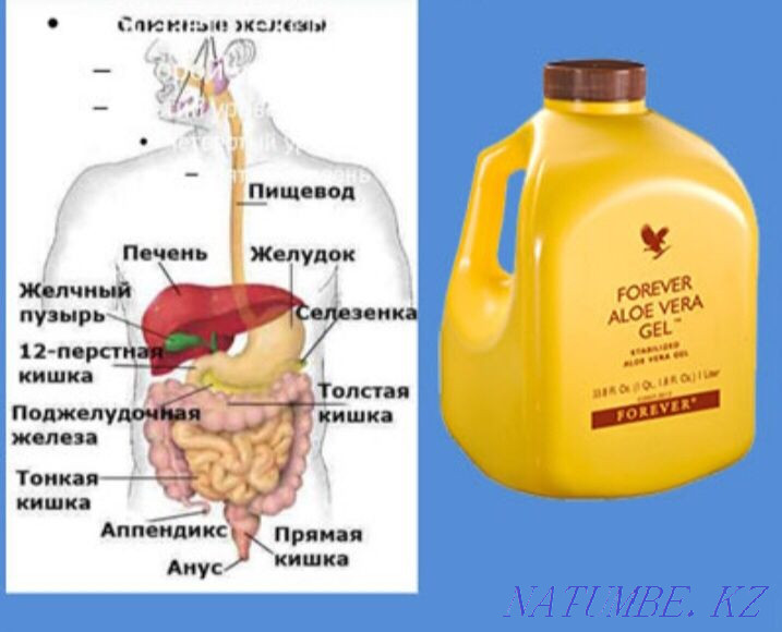 Forever aloe onimderin Shymkentten alu Shymkent - photo 7