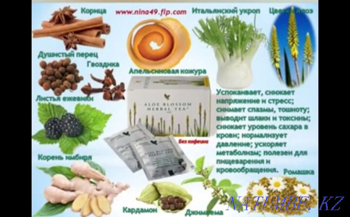 Forever aloe onimderin Shymkentten alu Shymkent - photo 6