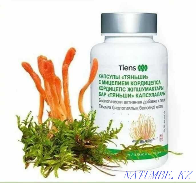 Кордицепс ПРОДАМ от Тяньши Шымкент - изображение 1