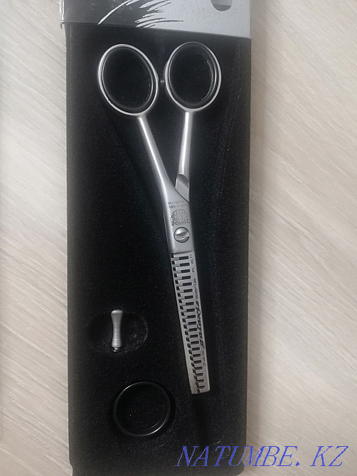 hairdressing scissors, LED lamp, hairdresser's assistant Pavlodar - photo 3