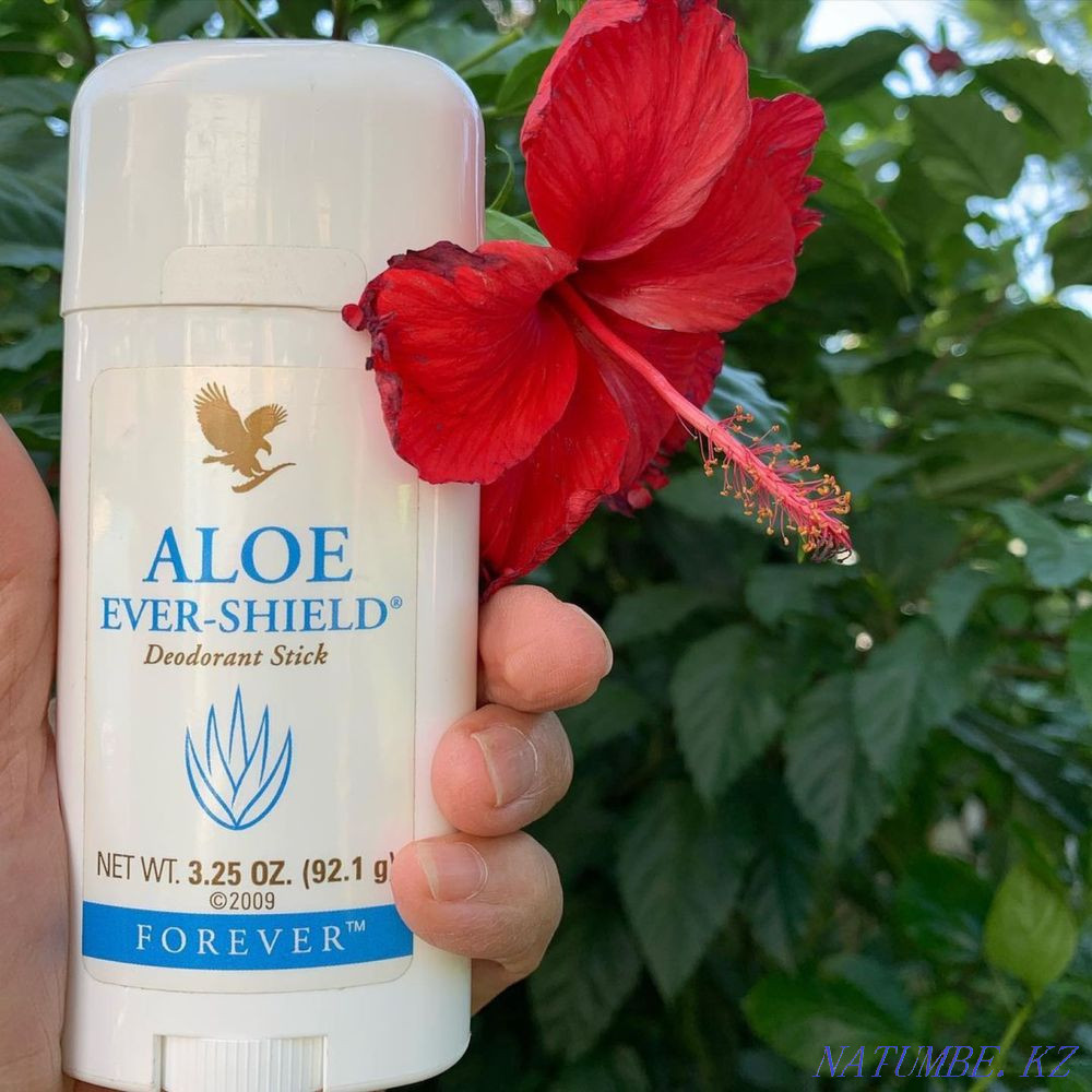 Deodorant Aloe Evershield Pavlodar - photo 1
