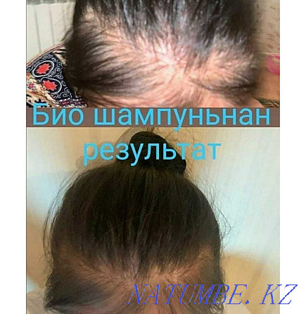 Bio shampoo. Natural shampoo against hair loss. (300 ml) Shymkent - photo 6