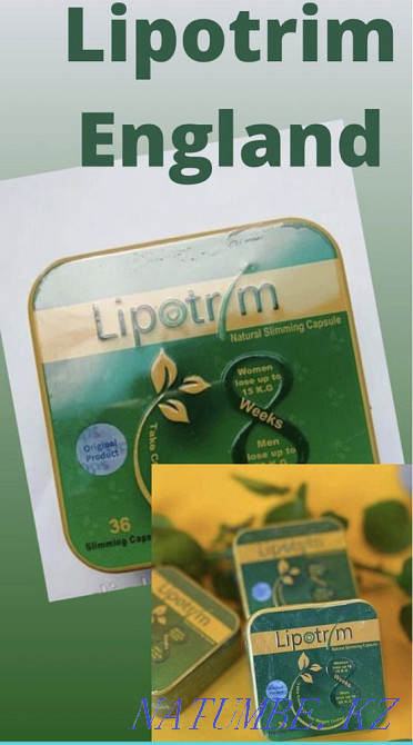 Липотрим Темиртау - изображение 3
