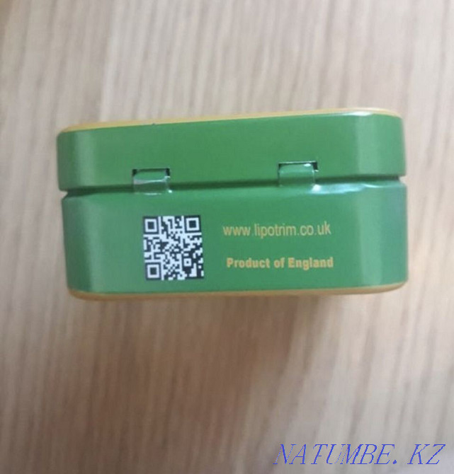 Липотрим Темиртау - изображение 2