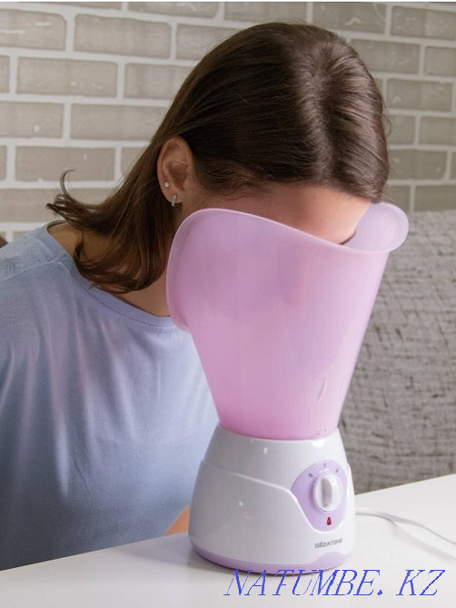 Паровая сауна для лица Gezatone Кокшетау - изображение 2