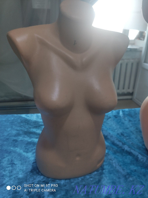 Маникен сатылады шт 300тг ден Талдыкорган - изображение 1
