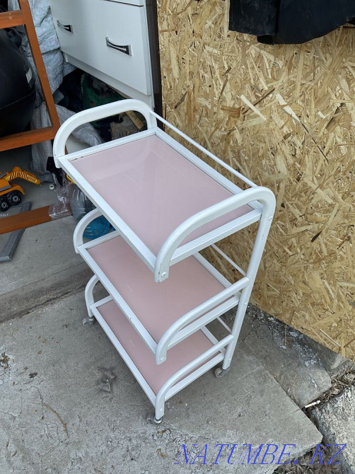 Помошник косметолога Павлодар - изображение 6