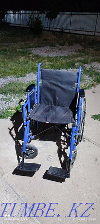 Каляска для инвалидов Кайтпас - изображение 2