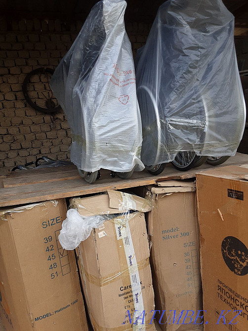 wheelchair Turkestan - photo 5