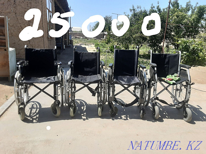 wheelchair Turkestan - photo 2