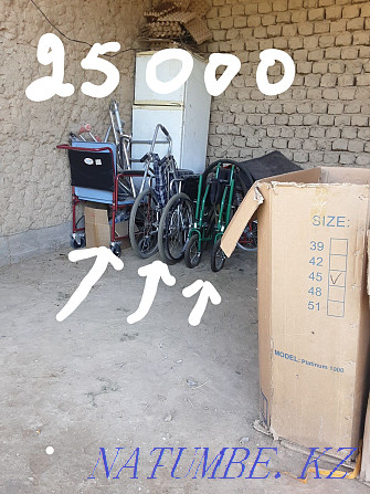 wheelchair Turkestan - photo 4