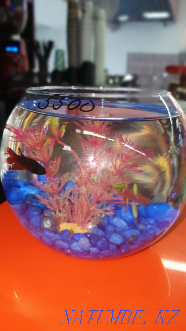 3-room apartment Almaty - photo 1