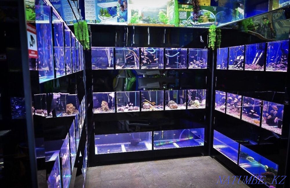 3-room apartment Almaty - photo 3