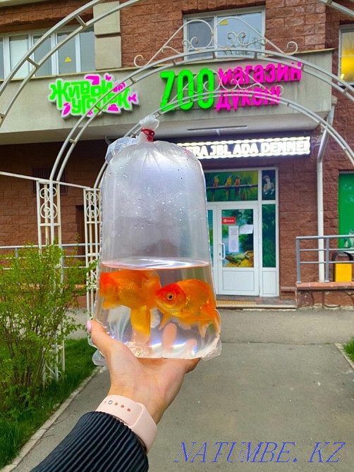 3-room apartment Almaty - photo 2