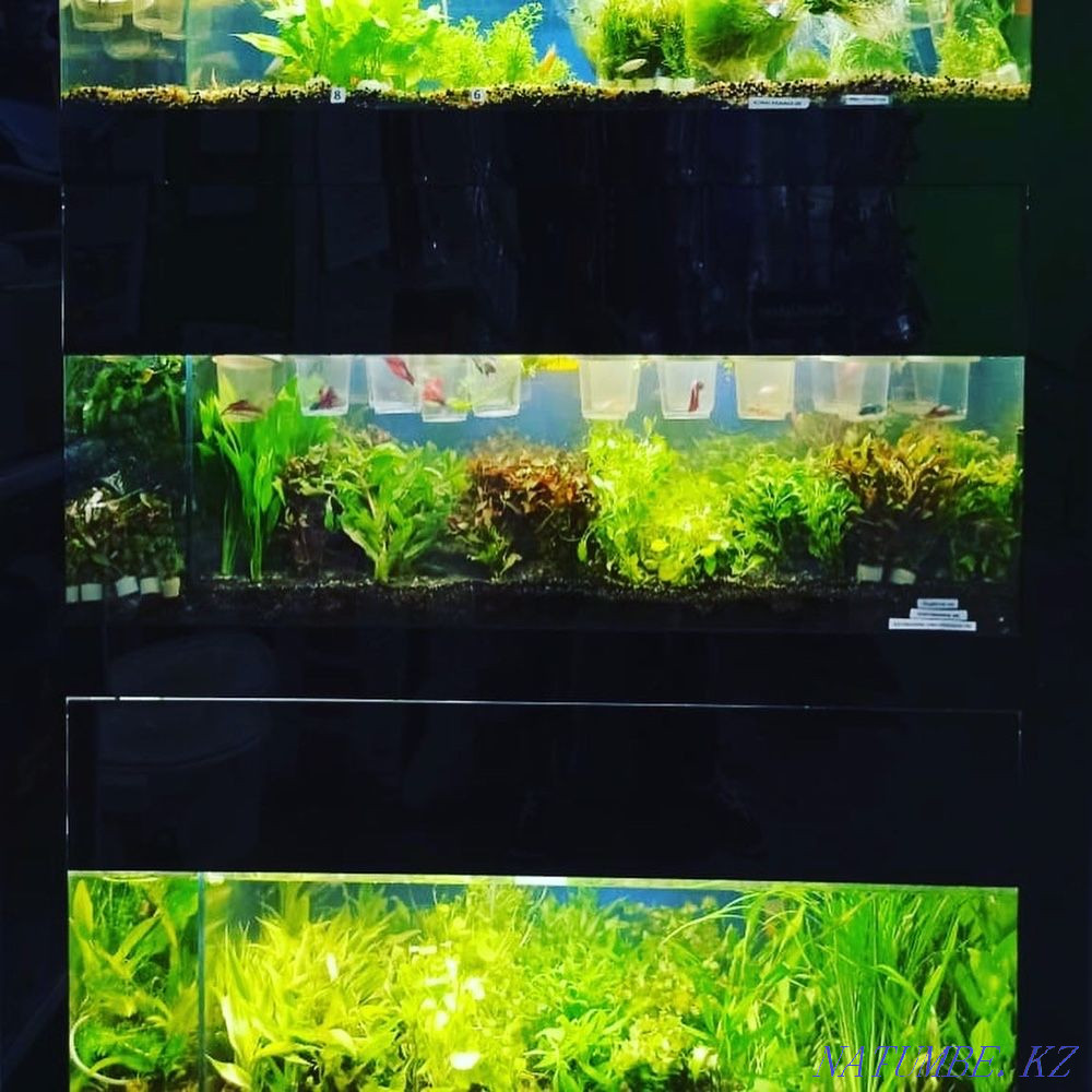 3-room apartment Almaty - photo 7