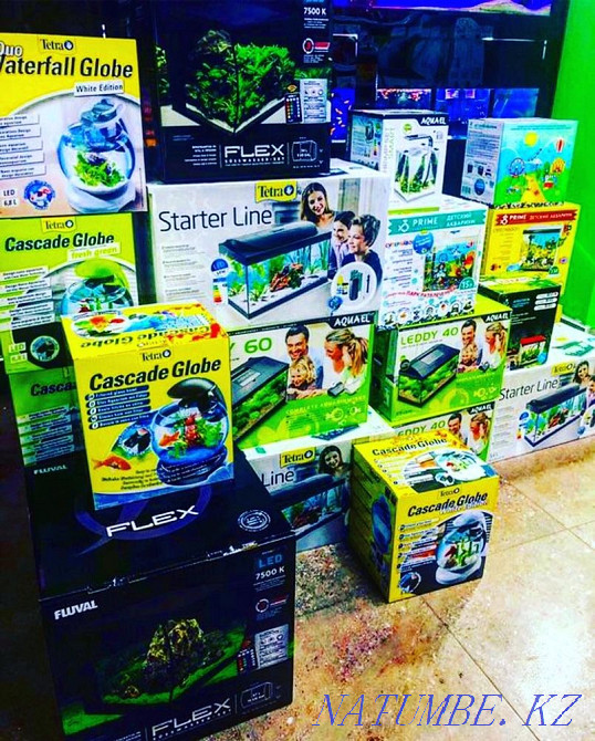 3-room apartment Almaty - photo 5