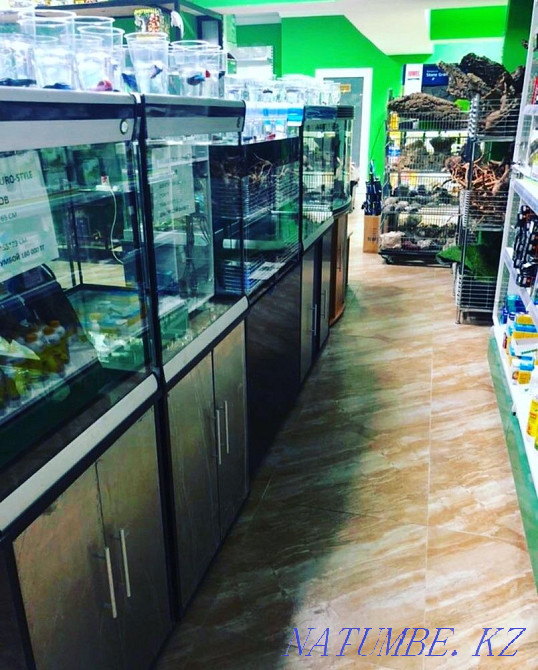 3-room apartment Almaty - photo 6