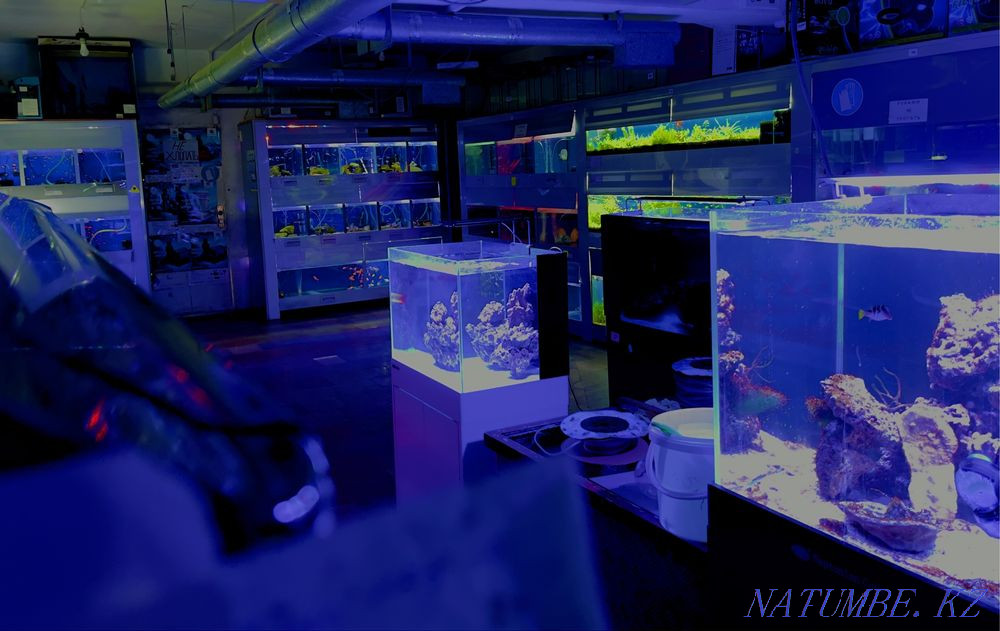 3-комнатная квартира Алматы - изображение 5