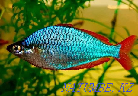 3-room apartment Taldykorgan - photo 1