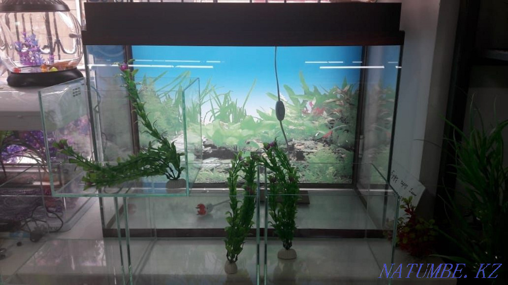 3-room apartment Almaty - photo 5