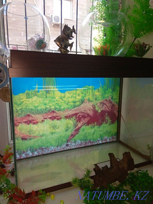 3-room apartment Almaty - photo 6