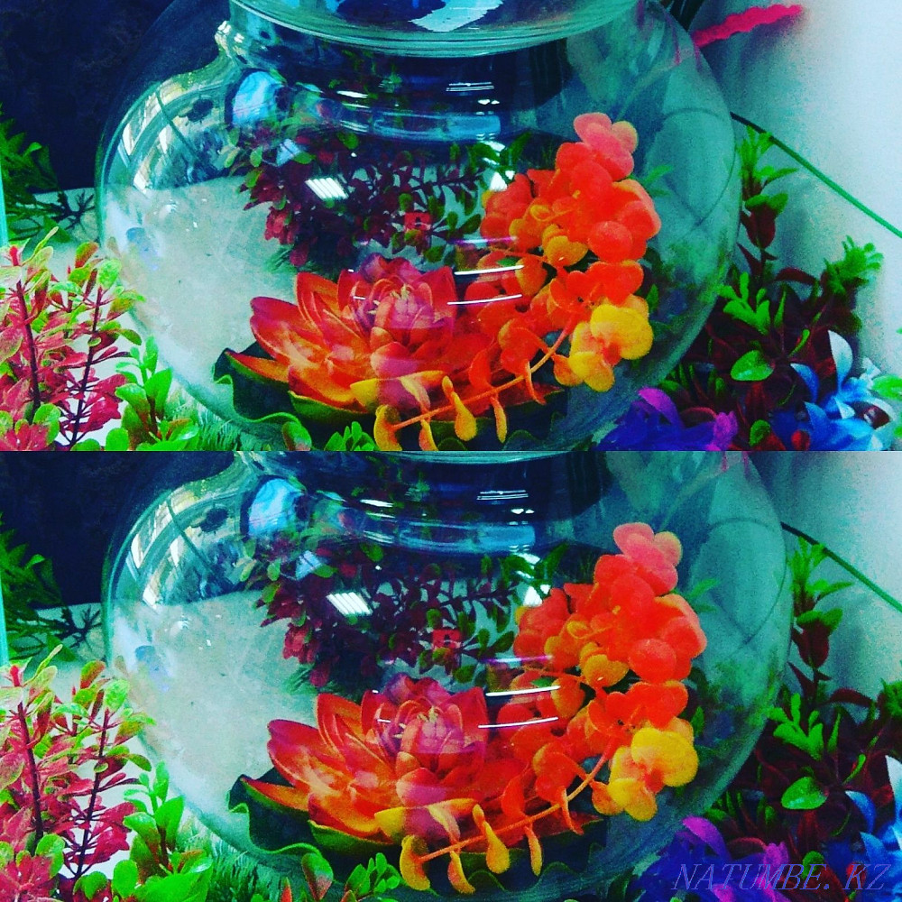 3-room apartment Almaty - photo 7