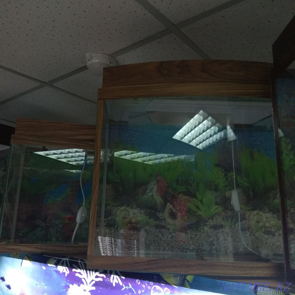 3-room apartment Almaty - photo 4