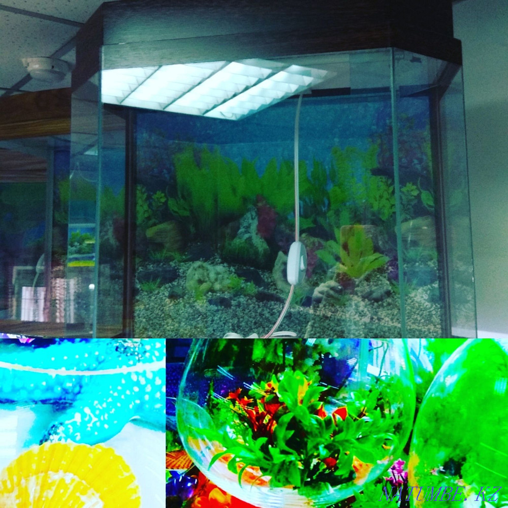 3-room apartment Almaty - photo 2