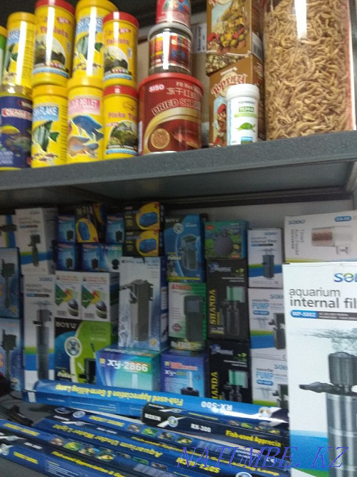 3-room apartment Almaty - photo 3