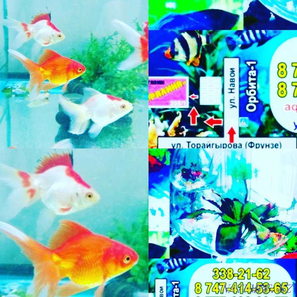 3-room apartment Almaty - photo 3