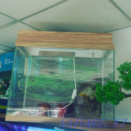 3-room apartment Almaty - photo 4