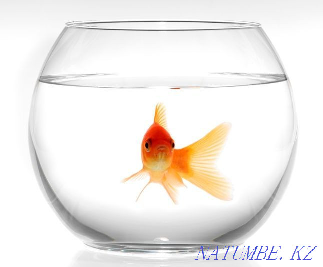 3-room apartment Almaty - photo 1