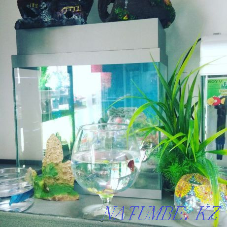 3-room apartment Almaty - photo 6